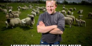 First world sheep farmer problems