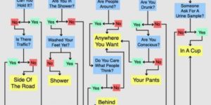 Where should you pee?
