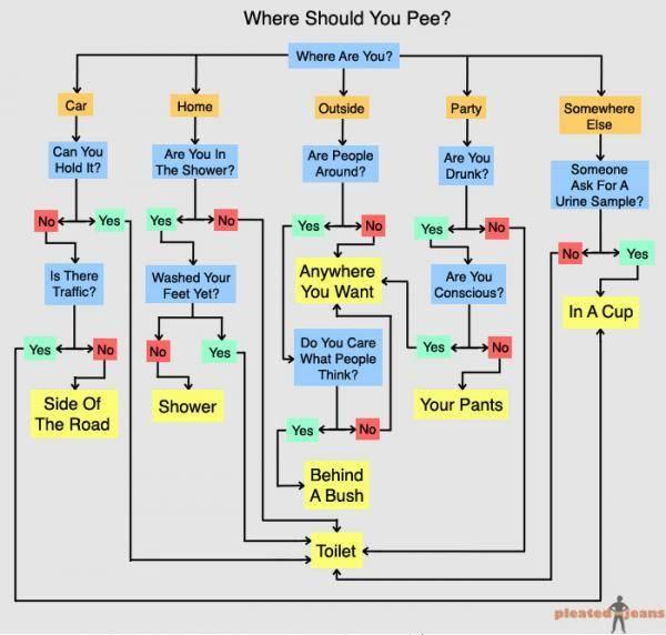 Where should you pee?