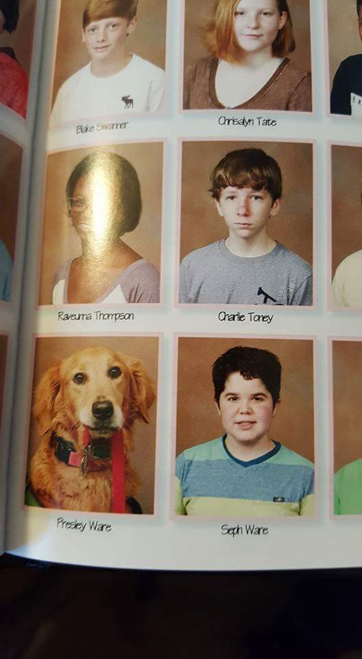 A local Jr high kid has his service dog go to school with him every day. The school did this.