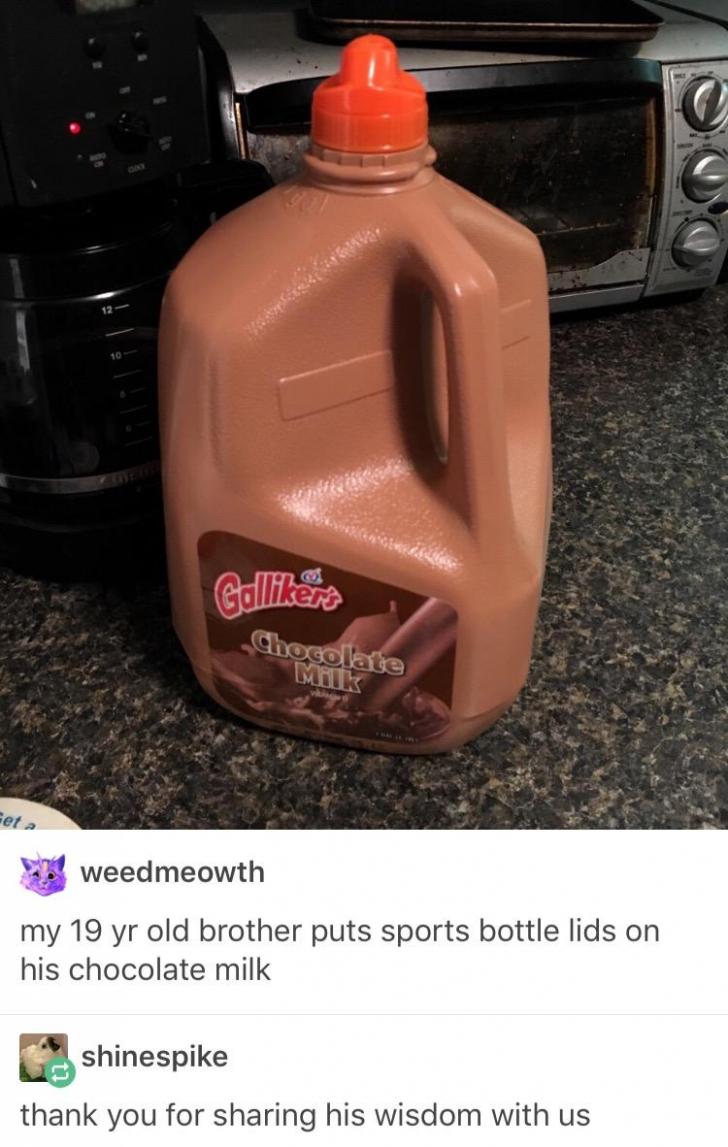 Chocolate milk wisdom