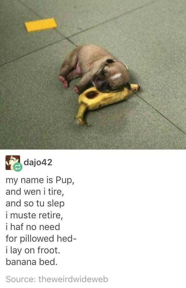 Snooze banana