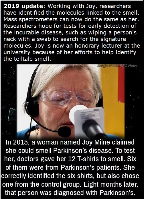 Joy Milne sniffs the world.