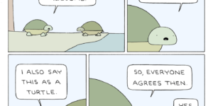 The problem with turtles…