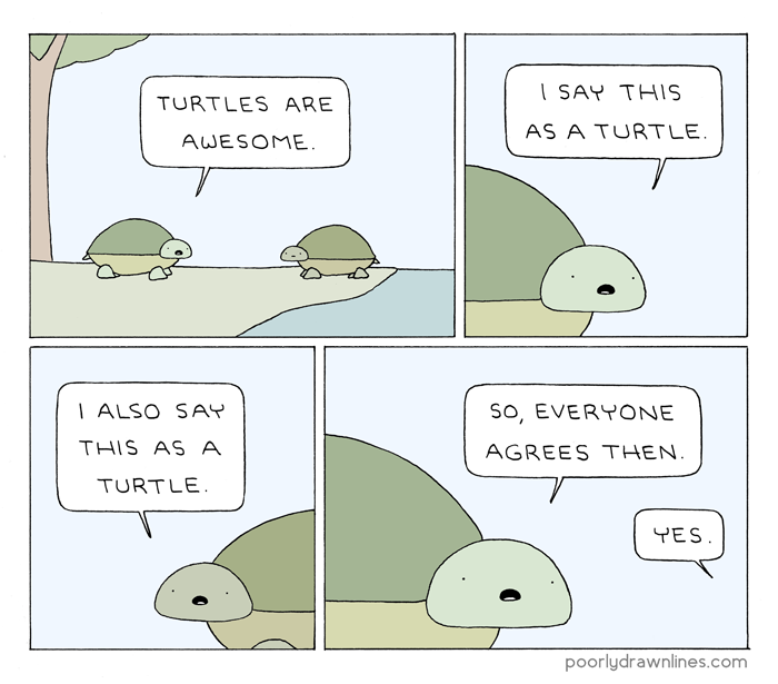 The problem with turtles...