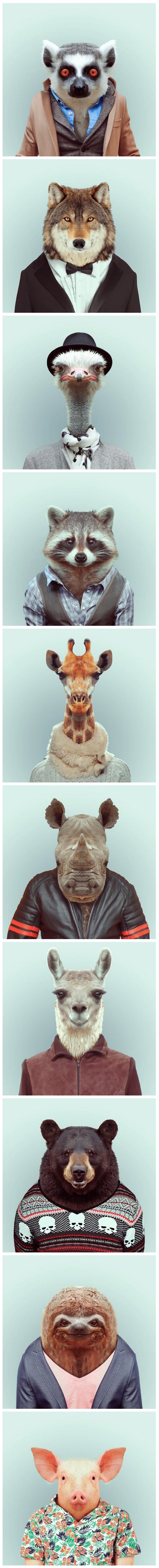Extremely dapper animals.