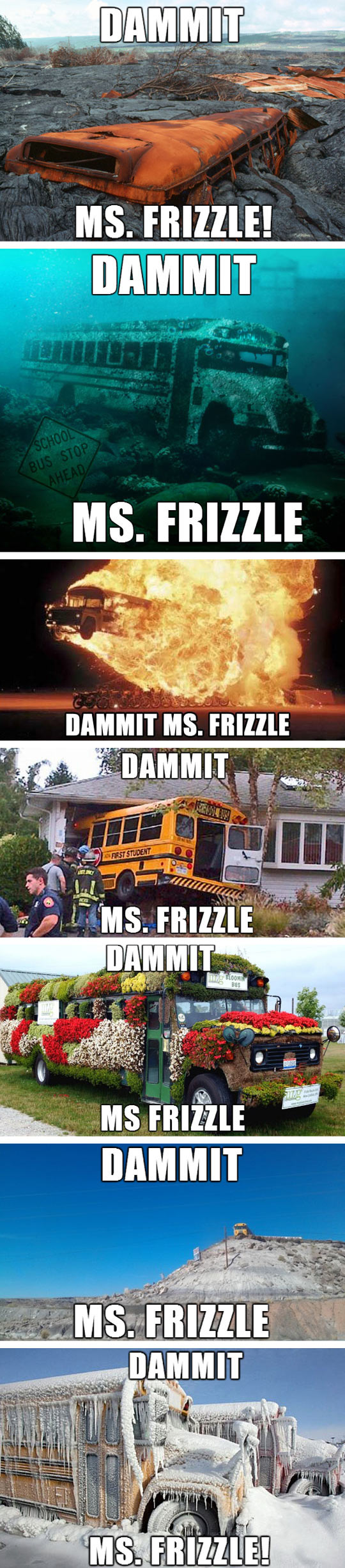 You had one job, Ms. Frizzle.