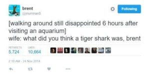 Tiger shark