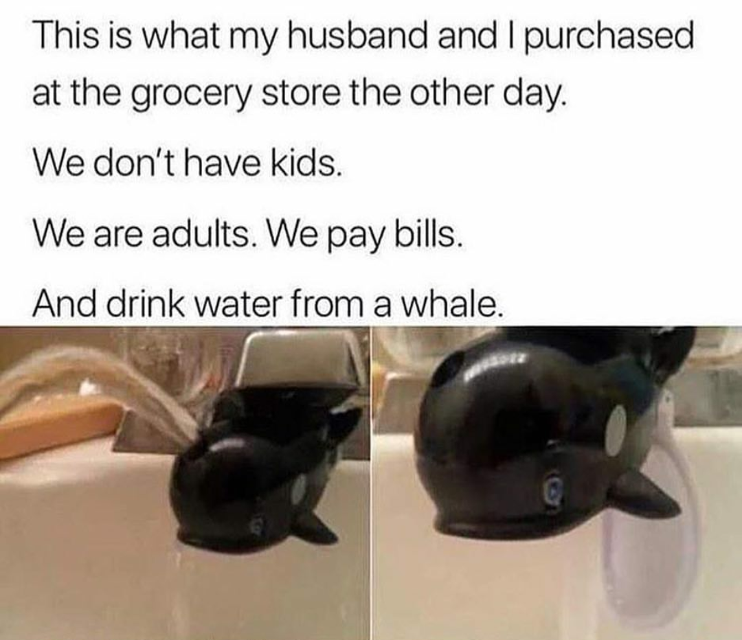 Money whale spent.