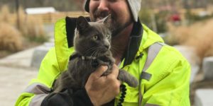 Cat lost in Ohio reunited with owner. Cat was not concerned, generally.