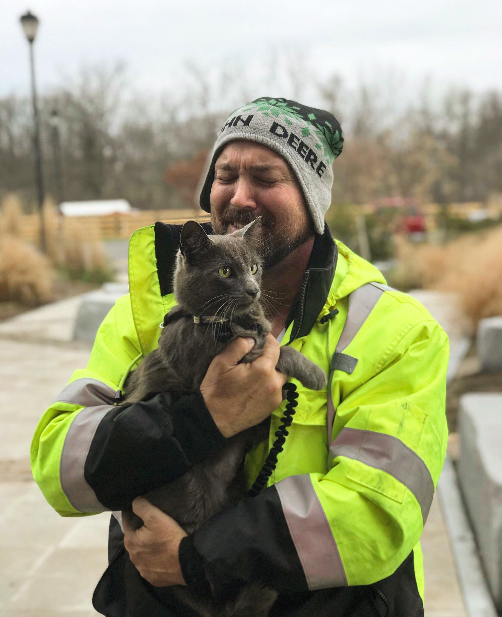 Cat lost in Ohio reunited with owner. Cat was not concerned, generally.