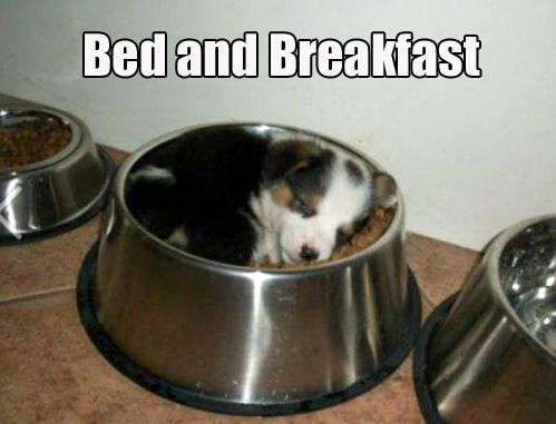 Bed and breakfast.