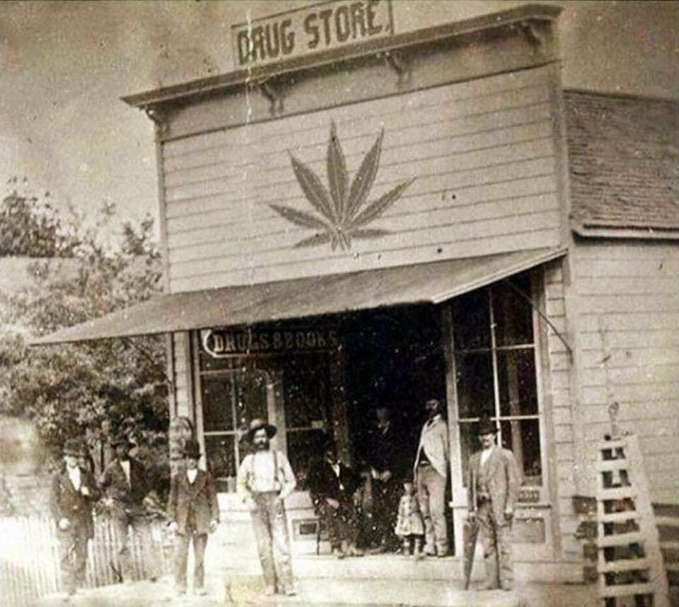 A 19th century drug store