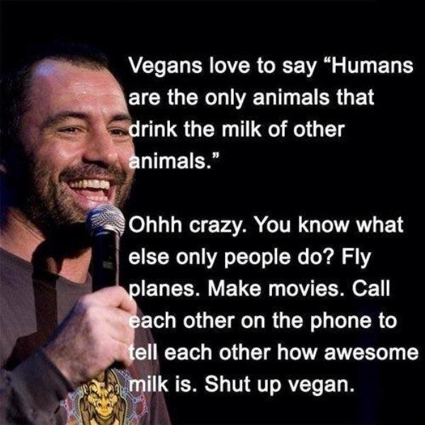 Joe Vegan