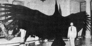 Argentavis Magnificens. The bird with the 30 foot wingspan.