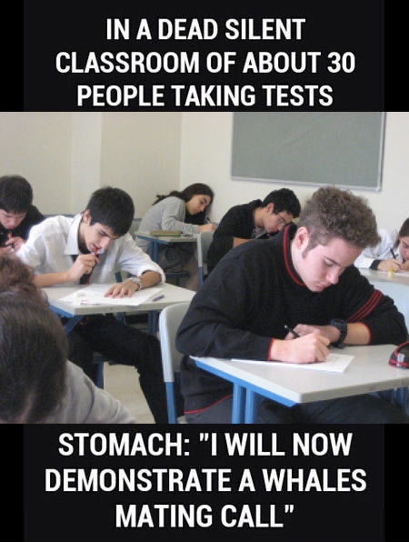 Scumbag stomach...