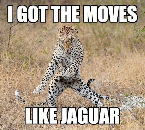 I got the moves like jaguar.