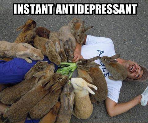 Instant antidepressant