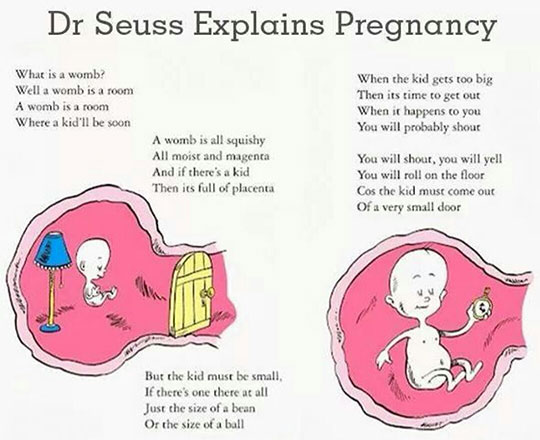 Dr Seuss Explains Pregnancy