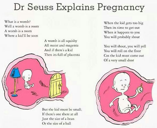 Dr Seuss Explains Pregnancy