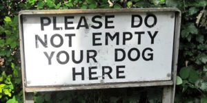 The dogs must remain full at all times.