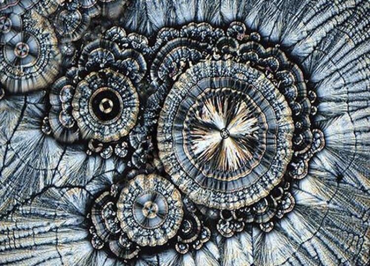 What Vitamin C looks like under a microscope.