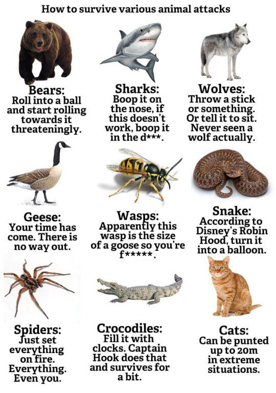How To Survive Animal Attacks