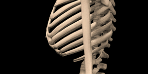 Changes in the skeleton of those who do not hold their posture.