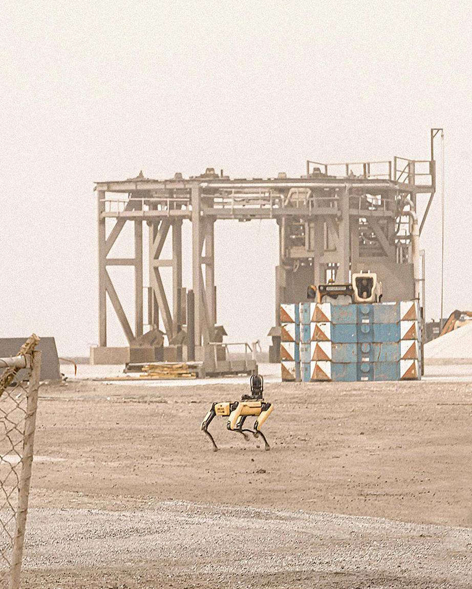 SpaceX robot dogs patrolling their rocket factory. The future is $DOGE.