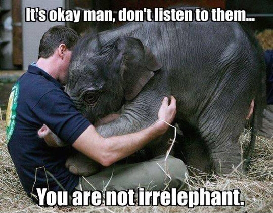 Comforting a baby elephant.