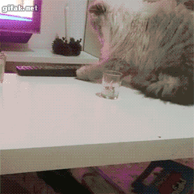 Oh, You Said No?