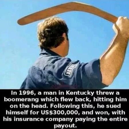 I should buy a boomerang...