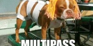 Muuuultipass