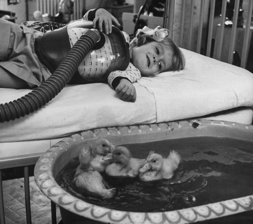 Ducks keep a girl suffering from polio company - circa 1956