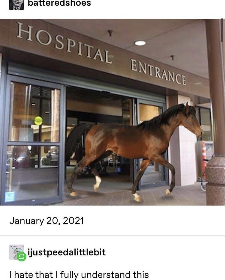 Horsepital Exit