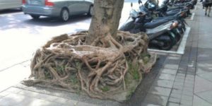 Finally found the square root