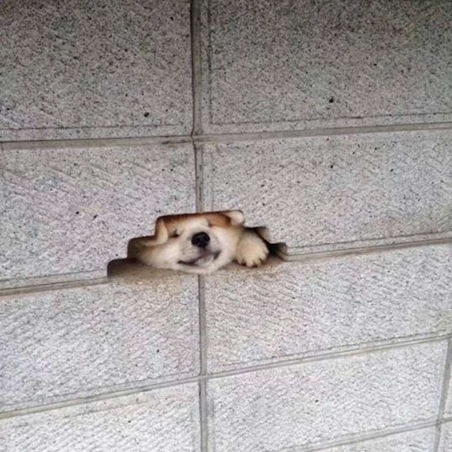 All in all it's just another bork in the wall