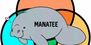 The majestic manatee