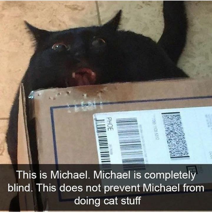 Gotdammit Mike.