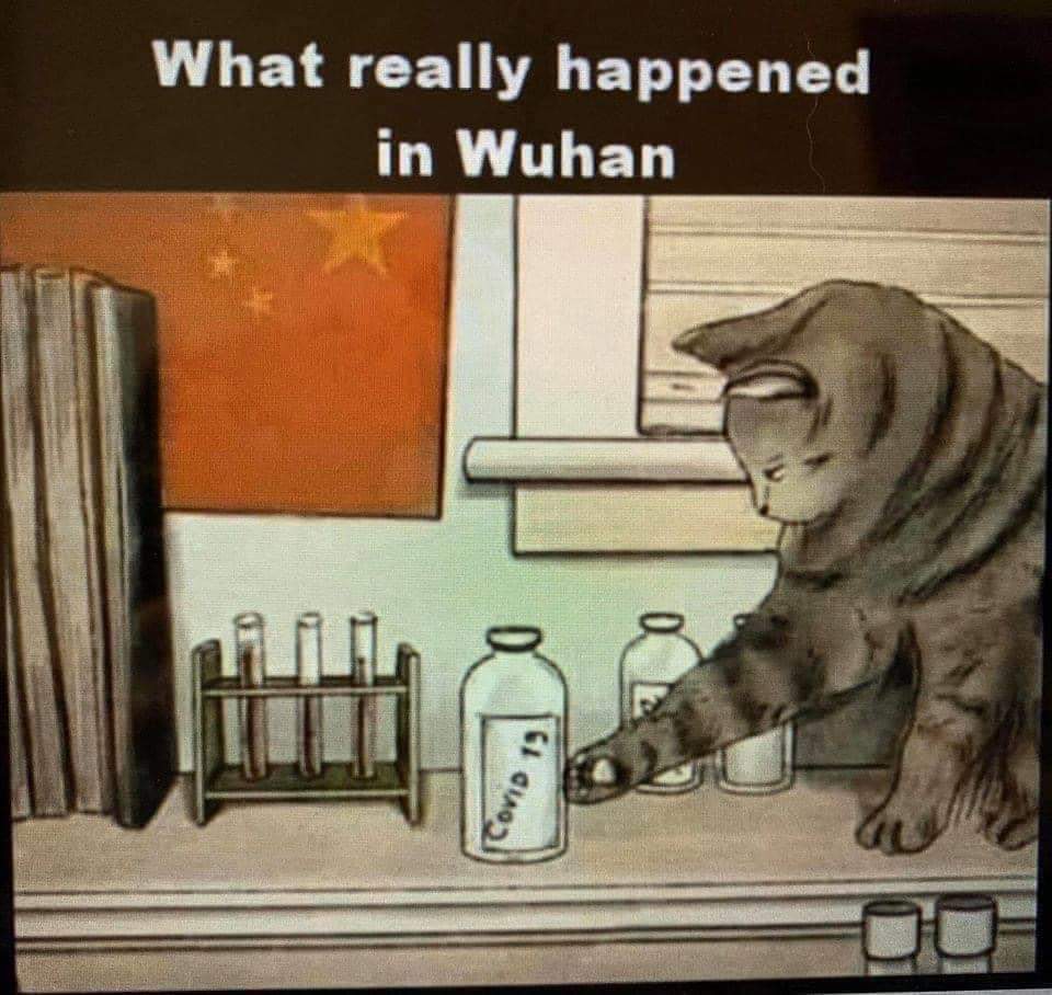 Wuhan, the rest of the story. 