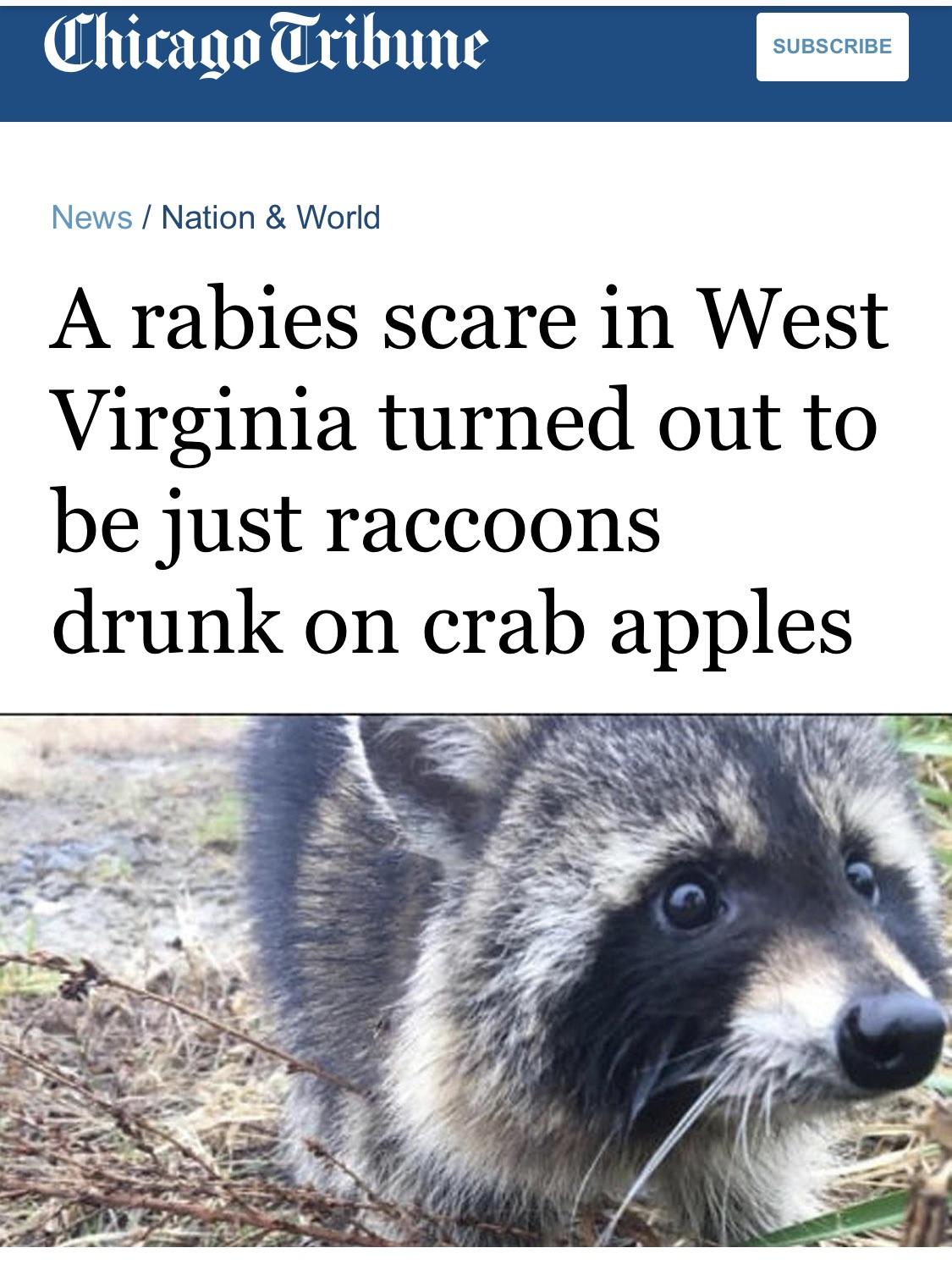 Roses are red, churches have chapels,