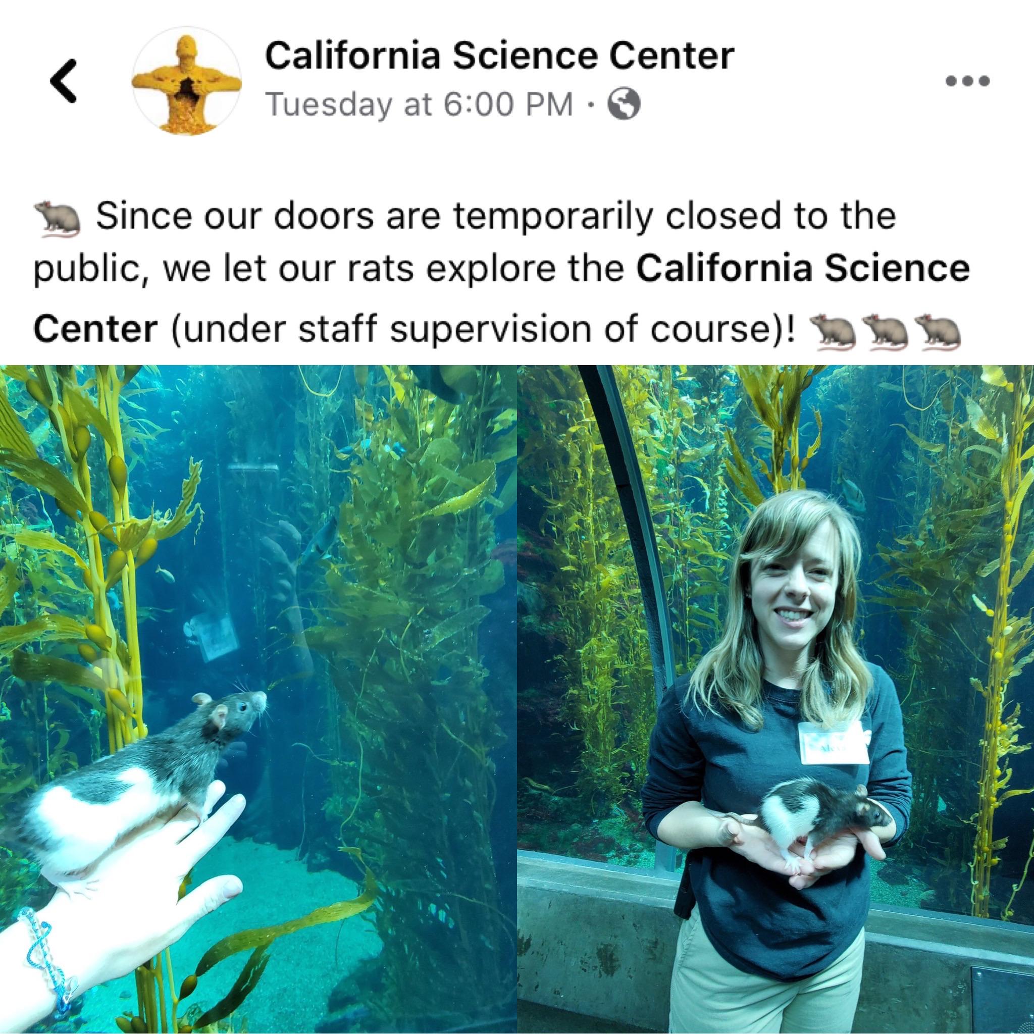 California Science Center giving the rats a tour of a lifetime.