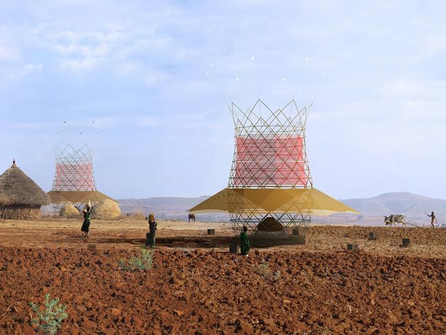 These bamboo towers can capture 25 gallons of condensation per day.