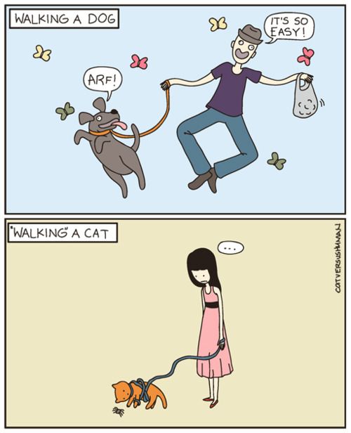 Walking a dog vs walking a cat.