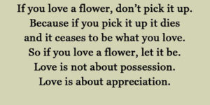 If you love a flower…