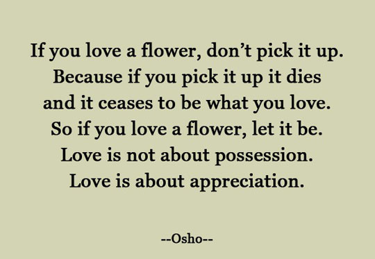 If you love a flower...