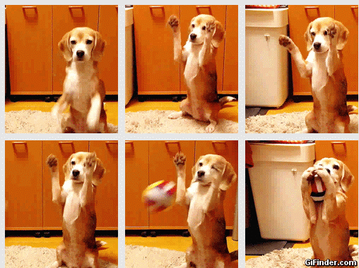 Learning to catch a ball.