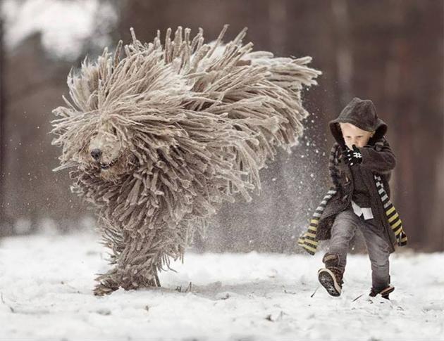 Who looks cooler, the boy or the dog?