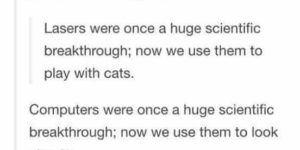 Science was made for cats.