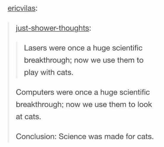 Science was made for cats.